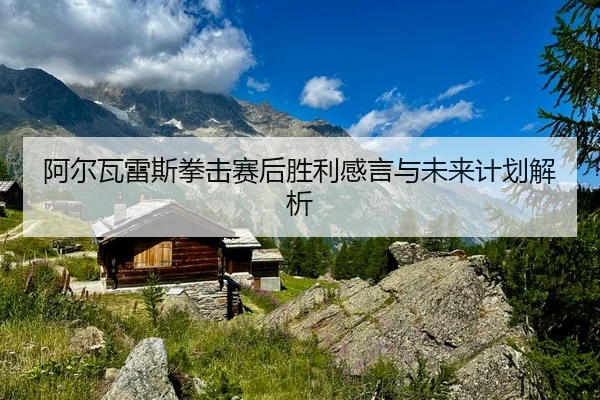 阿尔瓦雷斯拳击赛后胜利感言与未来计划解析