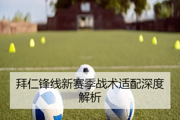 拜仁锋线新赛季战术适配深度解析